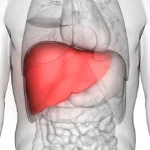 Liver-Shrinking-Diet