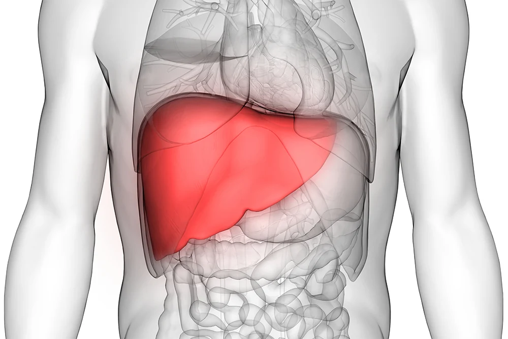 Liver-Shrinking-Diet