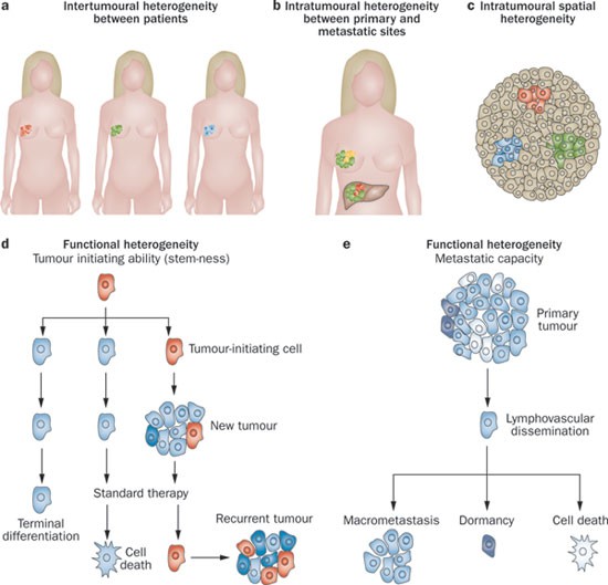 cancer treatment