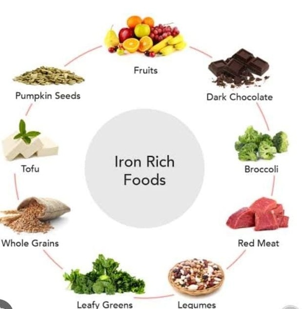 iron rich food