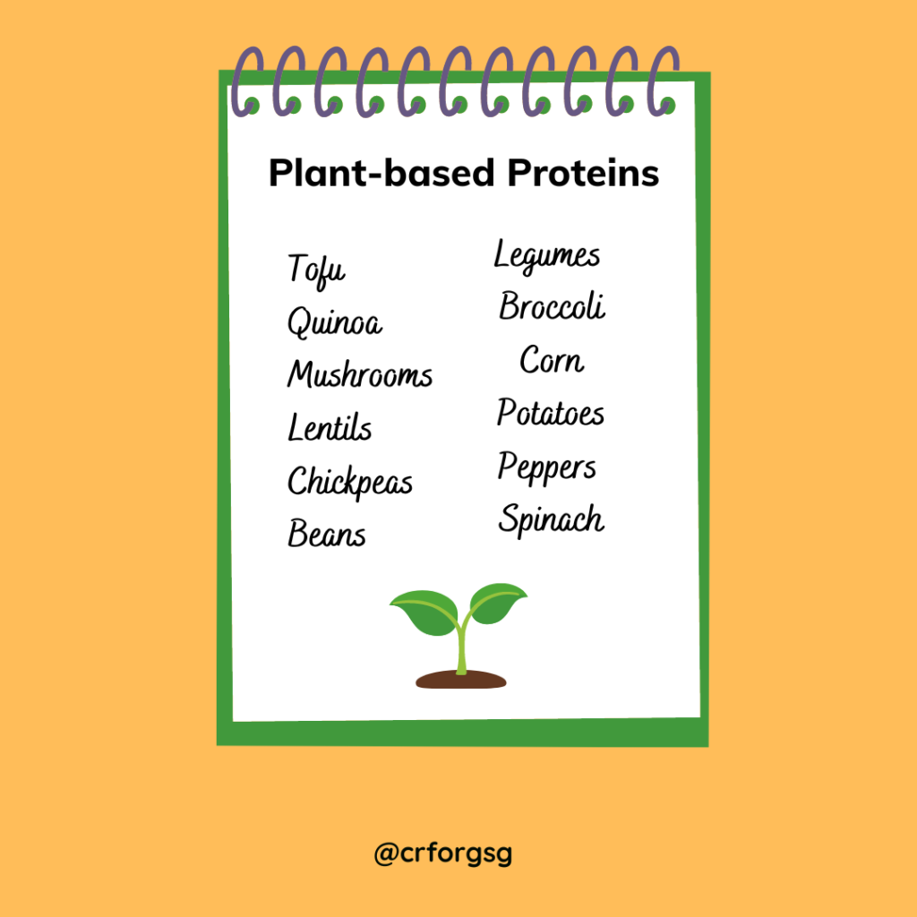 plant based protein