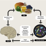 Emotional Eating vs Real Hunger: How to Tell the Difference