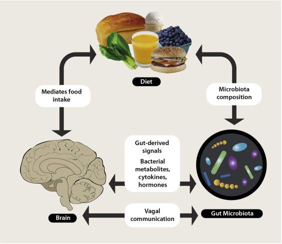 Emotional Eating vs Real Hunger: How to Tell the Difference