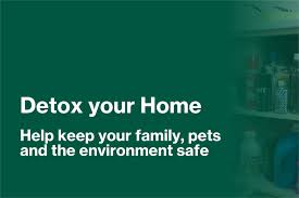 How to Detox Your Home from Harmful Chemicals