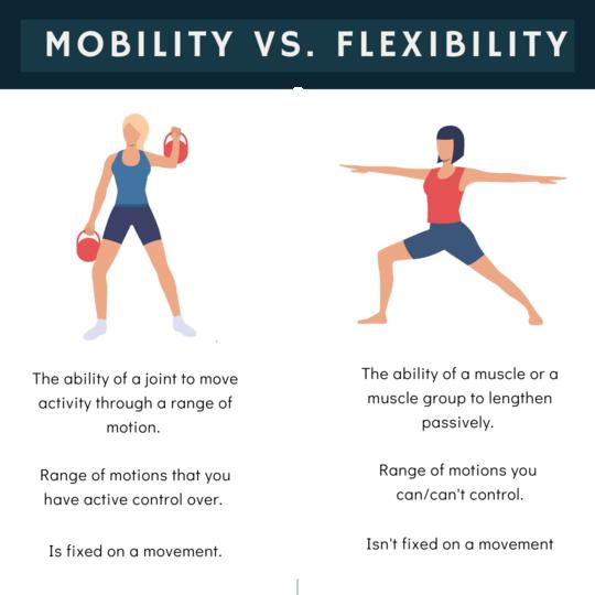 Mobility vs Flexibility