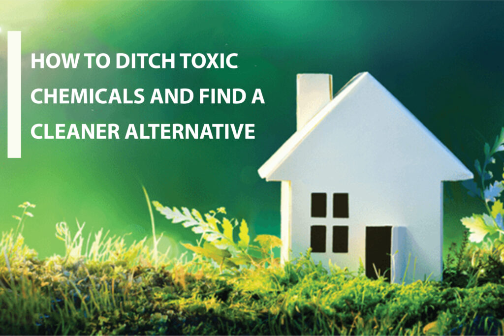 How to Detox Your Home from Harmful Chemicals