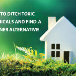 How to Detox Your Home from Harmful Chemicals